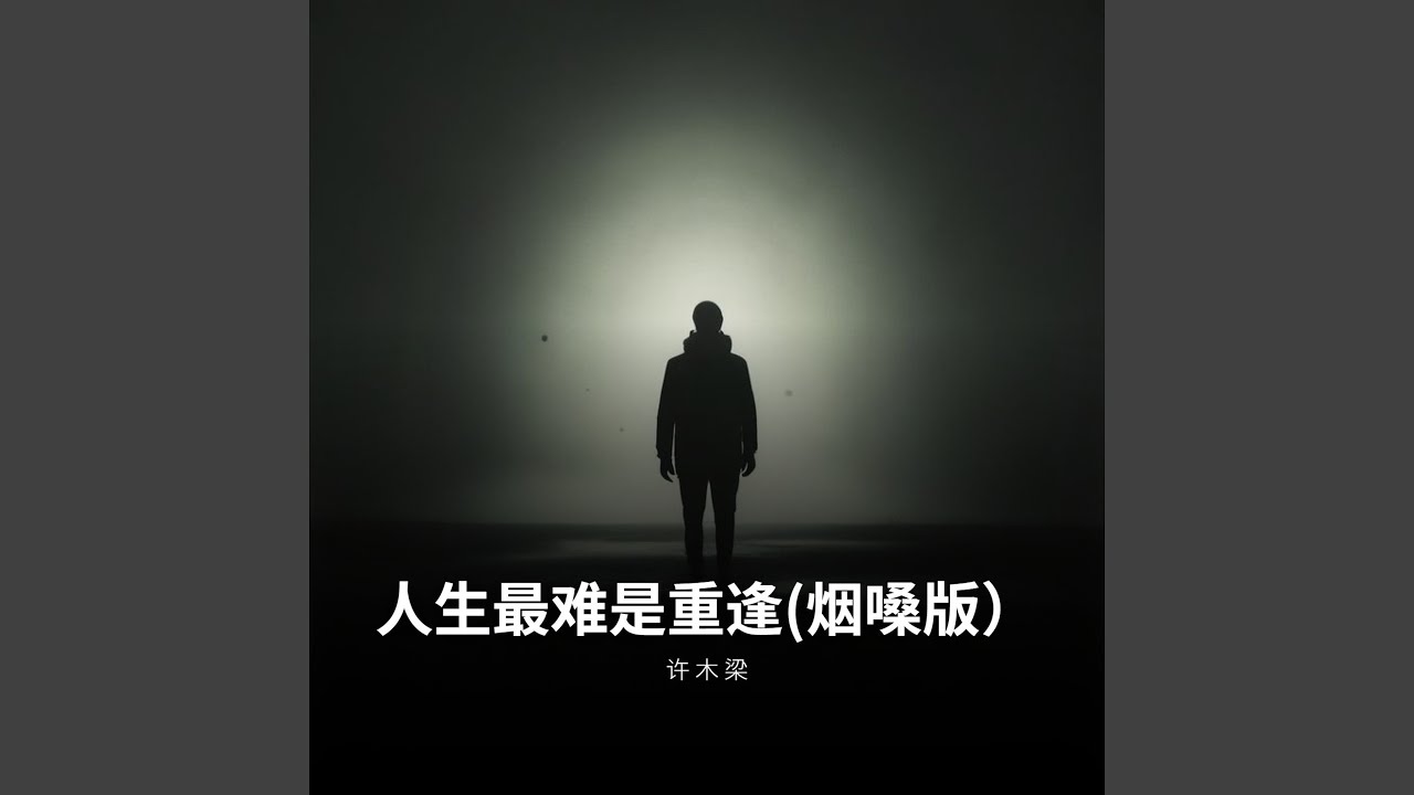 人生最难是重逢（烟嗓版）