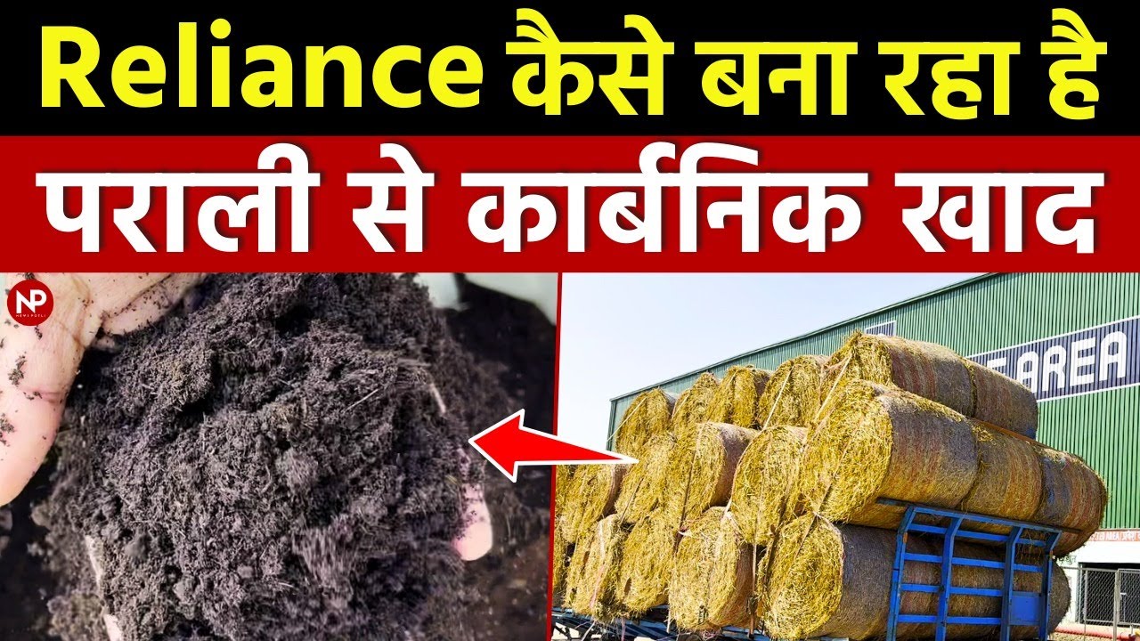 पराली से कार्बनिक खाद बना रहा Reliance || organic manure from Paddy Stubble 🌾 || Waste to wealth 💰