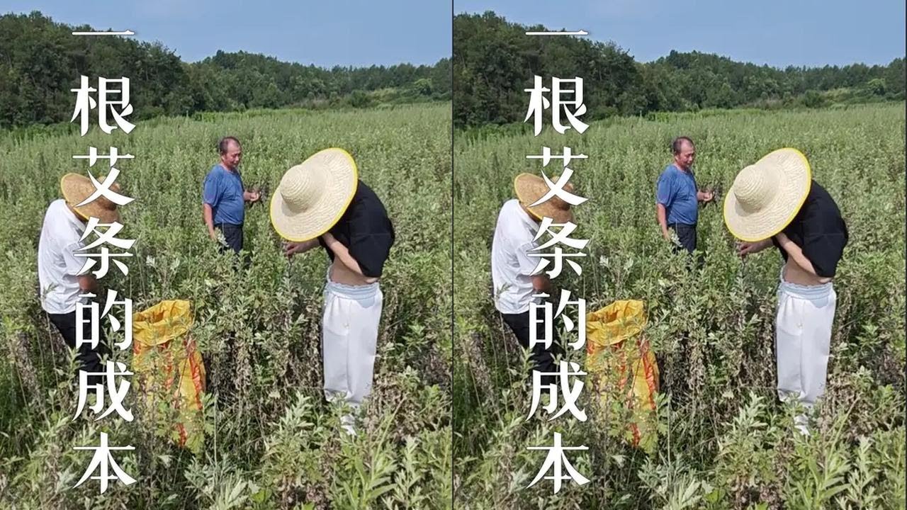 原来这是一根艾条的真实成本，你觉得值吗？ #我的换季养生好物  #非遗有好物 #抖音非遗计划 #百young非遗计划 #艾草