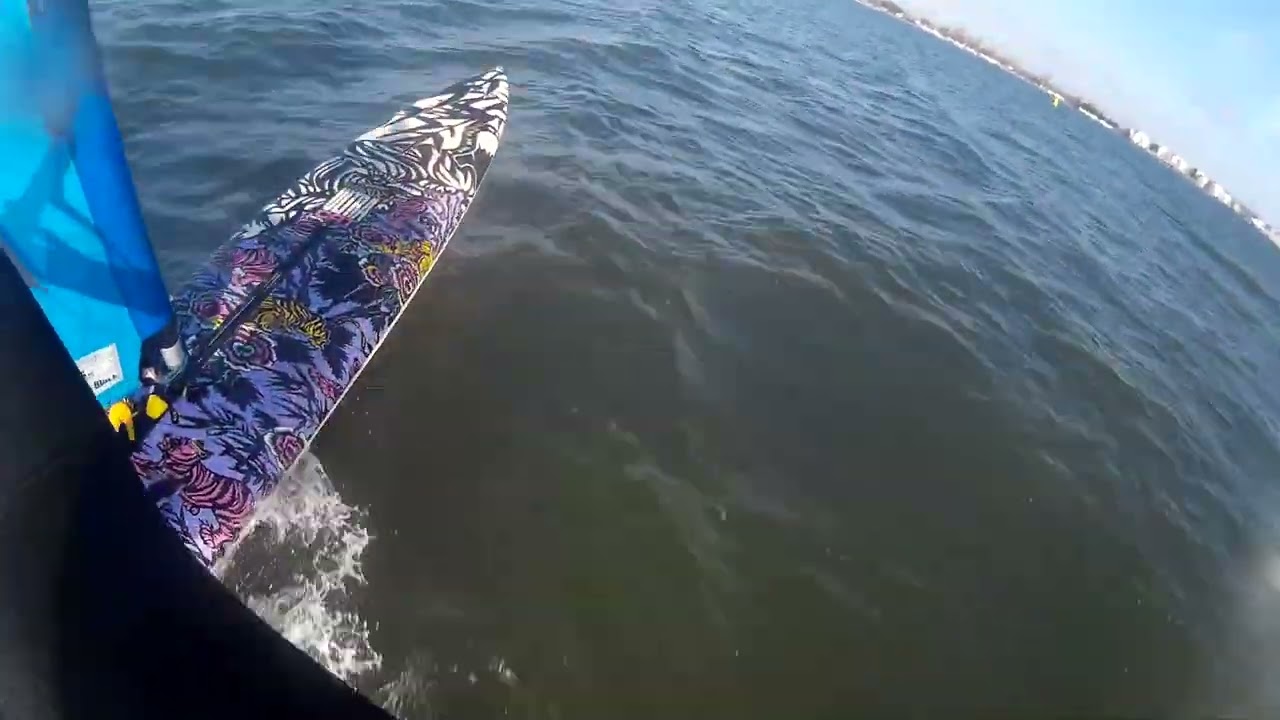 13.11.22 Excellent longboard conditions! Fanatic Ultra Cat and Tushingham Series 5/3C 7.5m