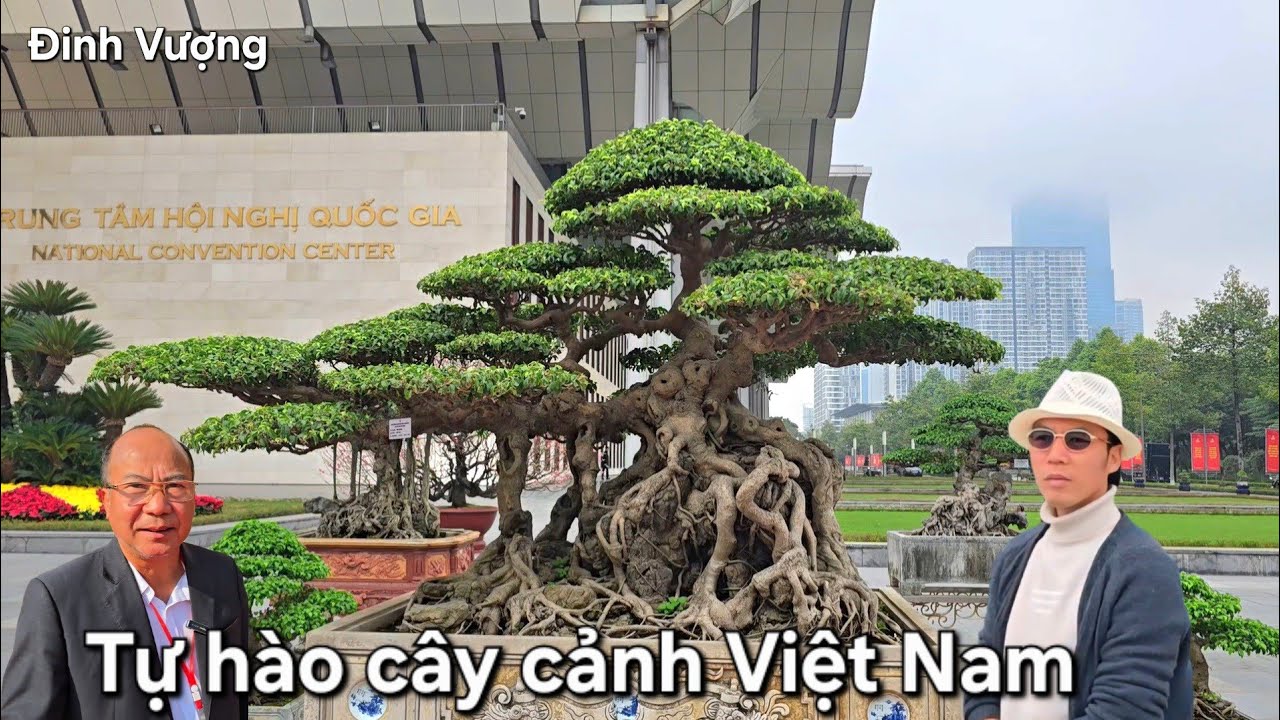 Những tác phẩm cây cảnh nghệ thuật đã cống hiến cho Đảng và nhà nước 