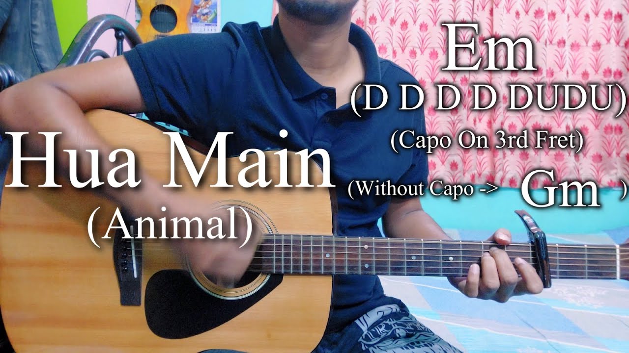 Hua Main | Animal | Easy Guitar Chords Lesson+Cover, Strumming Pattern, Progressions...