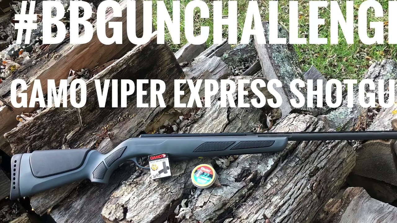 Гладкоствольное пневматическое ружье GAMO VIPER EXPRESS #BBGUNCHALLENGE