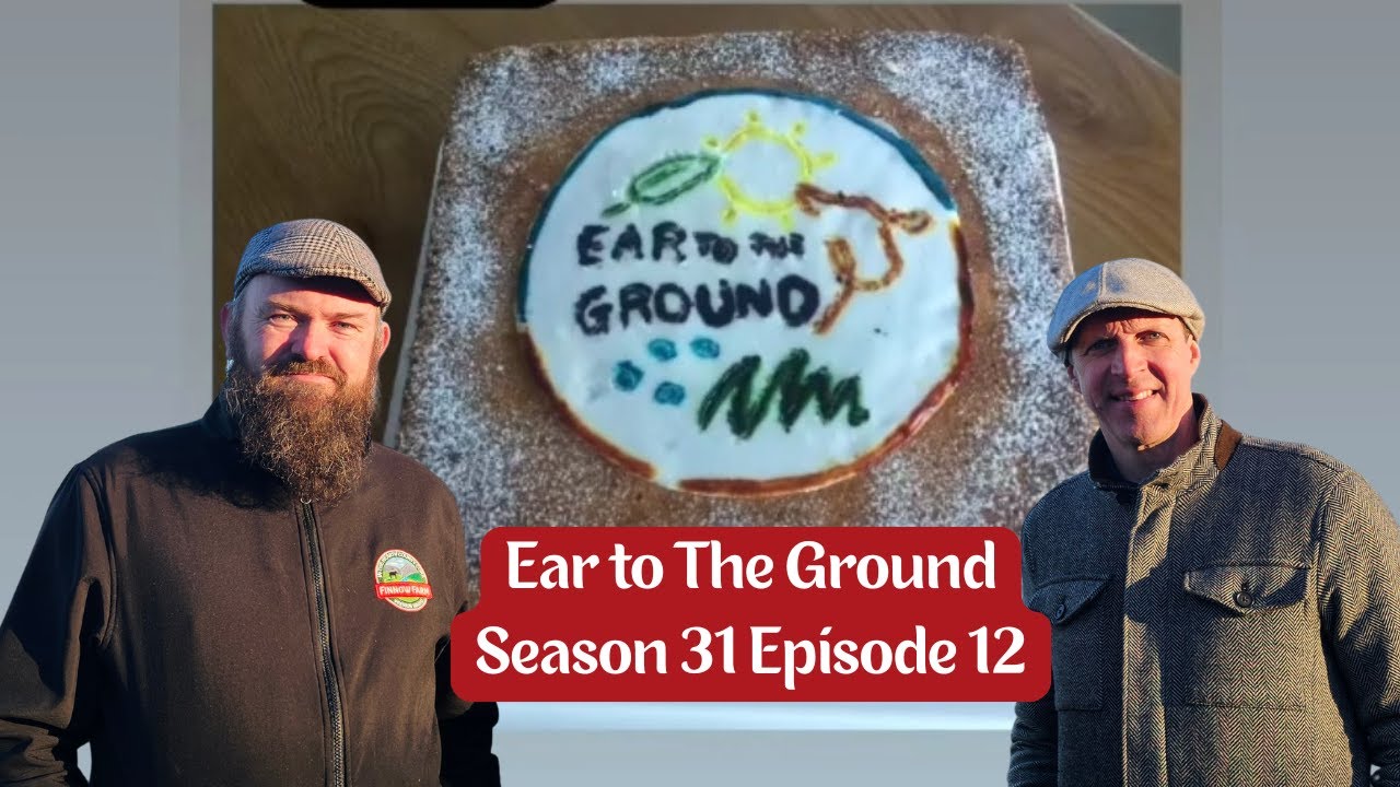 Finnow Farm на Ear to The Ground: S31 Ep12 #wagyu #farm #finnowfarm #farming #farmlife #beef #ETTG