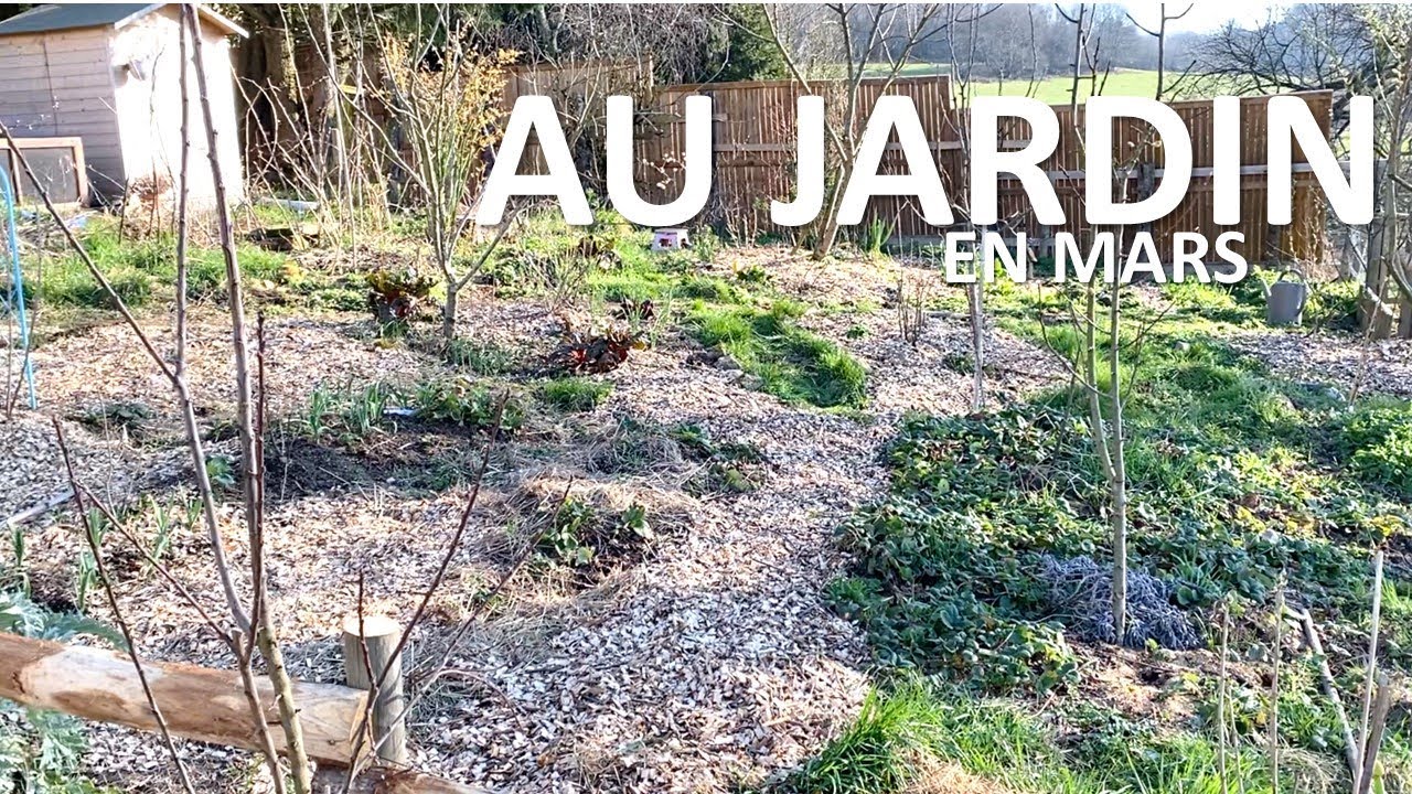 Le jardin en mars, le plein de BRF, les forestiers ont finis, c'est le boxon !