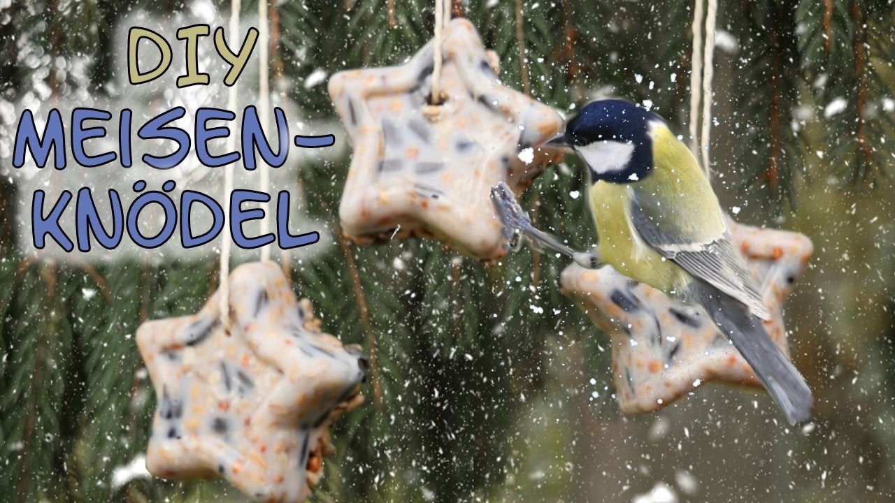 Meisenknödel selber machen | DIY Winterfutter | Vogelfutter selber machen
