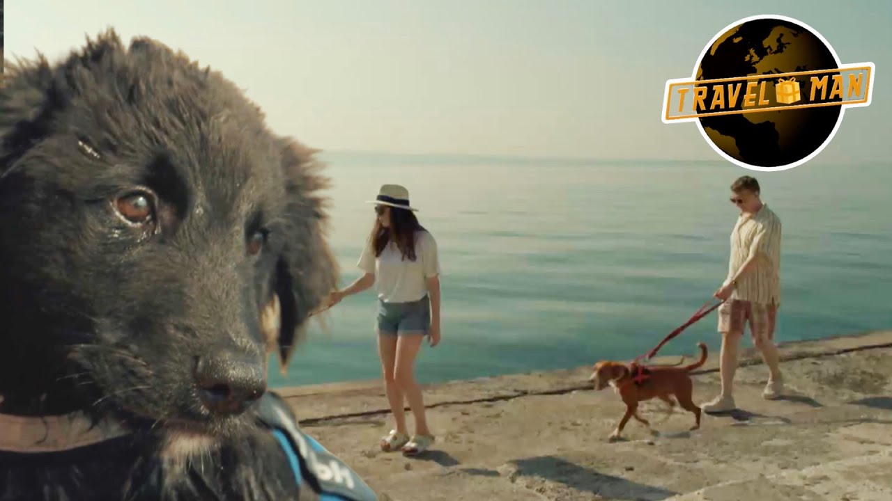 Joe & Aisling Bea walk the CUTEST dogs | Travel Man