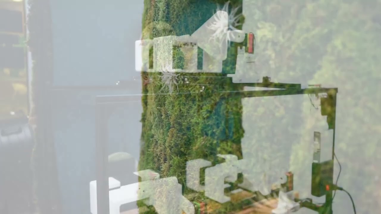 Nature in Motion (2025)