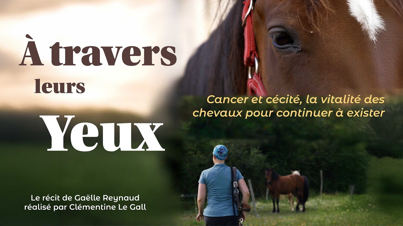 À travers leurs yeux [Documentaire avec audiodescription]