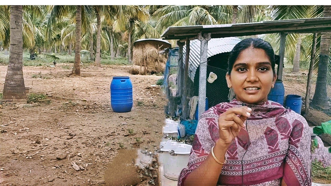 மேம்படுத்தப்பட்ட அமிர்த கரைசல் உடன் Zytonic M