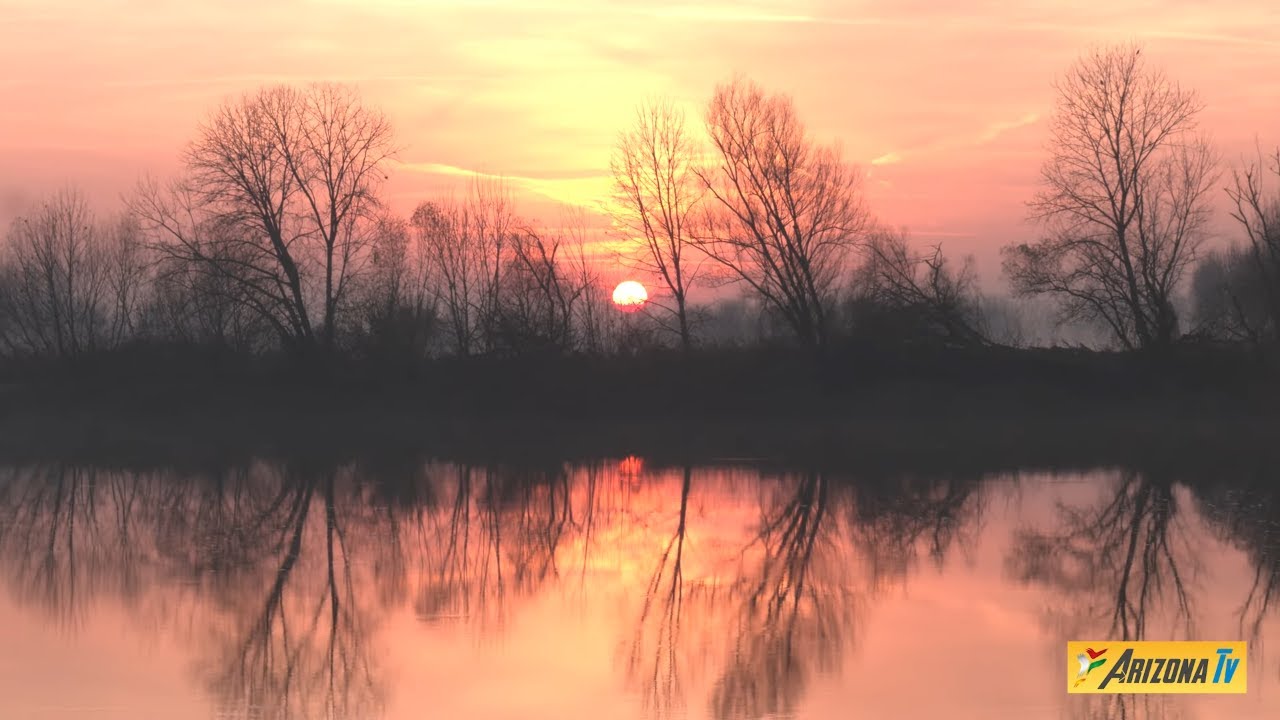 MONDO PESCA - A PESCA CON TEO - BARBO NATALE - IL GRANDE FIUME - #fishing