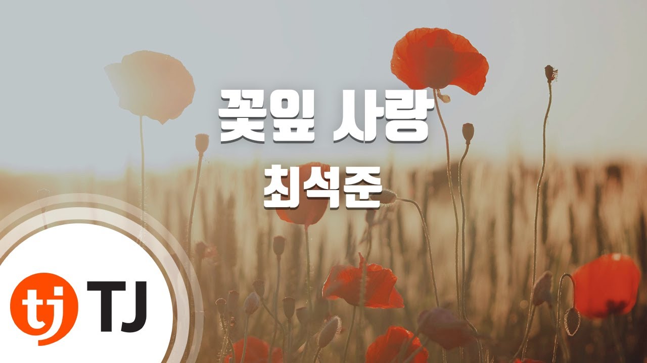 [TJ노래방] 꽃잎사랑 - 최석준(Choi, Seok - Joon) / TJ Karaoke