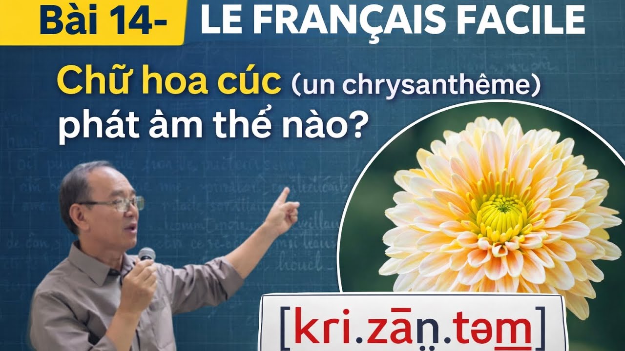 Bài 14- LE FRANÇAIS FACILE - Chữ hoa cúc ( un chrysanthème) phát âm thế nào?