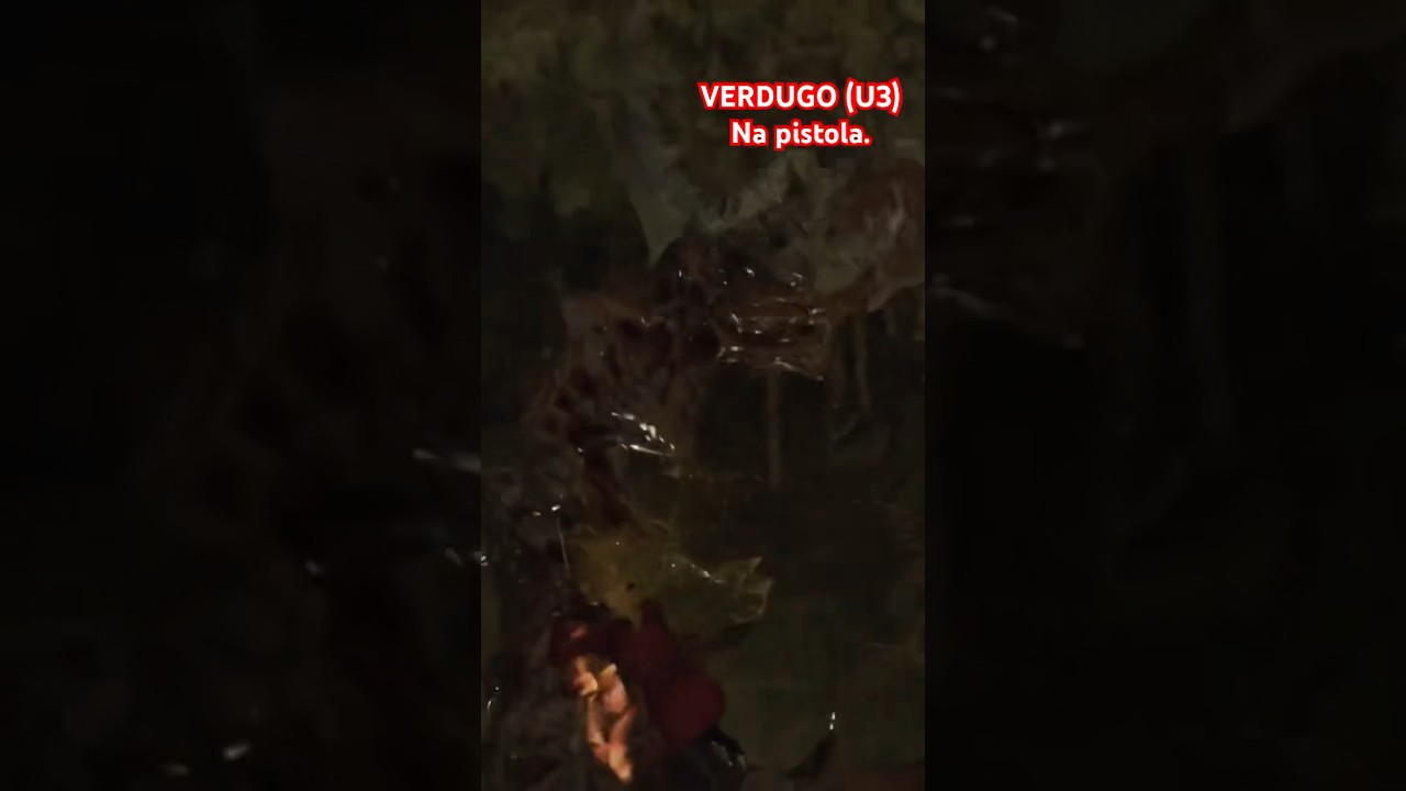 Enfrentei o VERDUGO ( U3 ) na pistola. RESIDENT EVIL 4 REMEKE - DLC Separate Ways - ADA