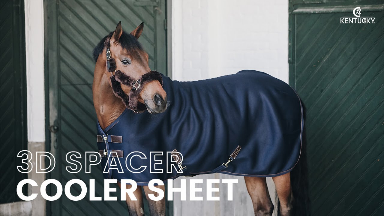 3D Spacer Cooler Sheet - Multifonctional rug by Kentucky Horsewear