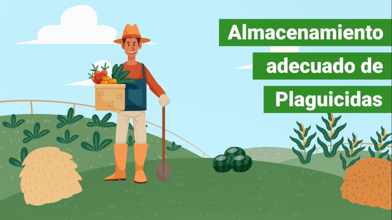 Almacenamiento adecuado de plaguicidas