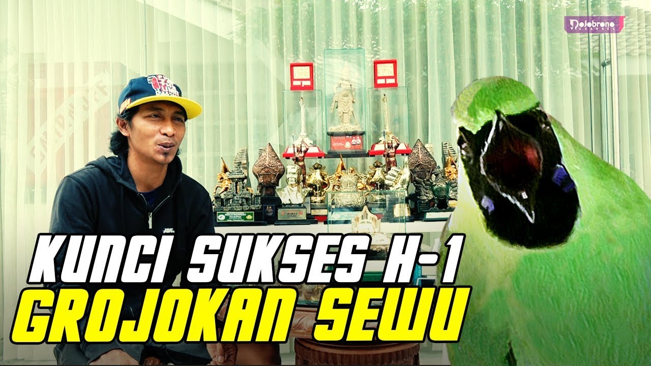 [KUNCI SUKSES GROJOKAN SEWU] Beginilah Perawatan Lomba Cucak Ijo Grojokan Sewu Jawara Nasional