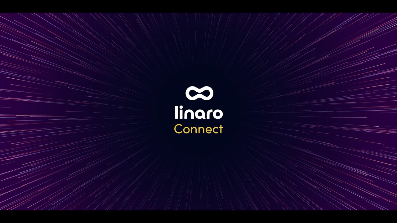 LIS25 146 EBBR birds of a feather session