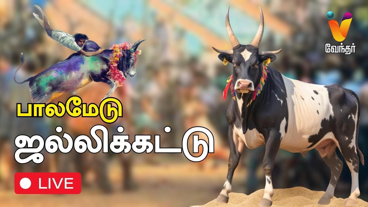 🔴LIVE : களம் இறங்கும் காளைகளும், உற்சாகத்துடன் தழுவும் வீரர்களும் | பாலமேடு ஜல்லிக்கட்டு Live