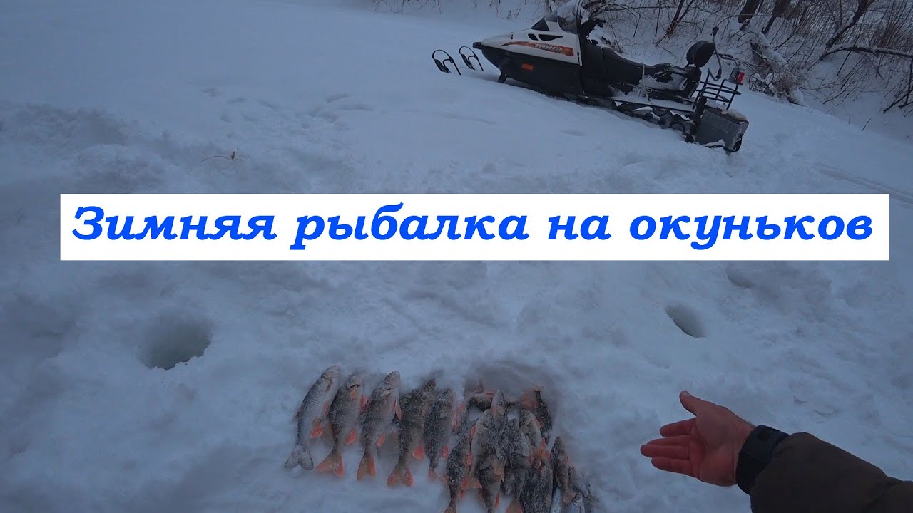 Зимняя рыбалка на снегоходах. Ловим окуня. В гостях у Владимира.