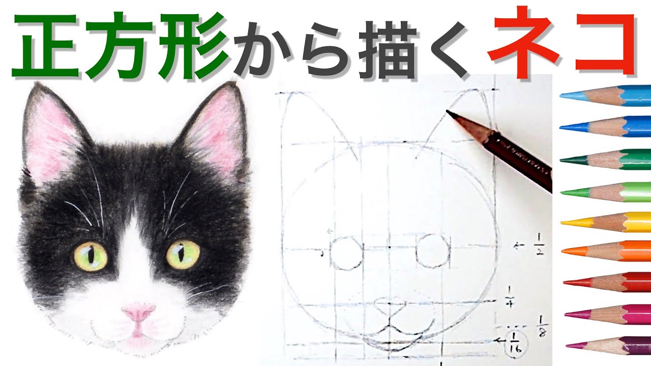猫の描き方【水彩色鉛筆】正方形から描くリアルな猫の顔 How to Draw a Cat with Watercolor pencils