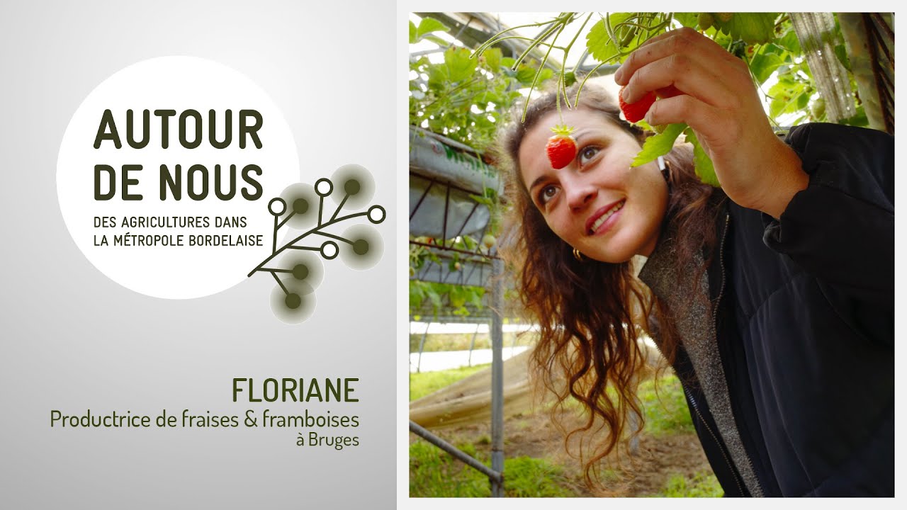 Épisode 5 - Floriane – Productrice de fraises et de framboises à Bruges