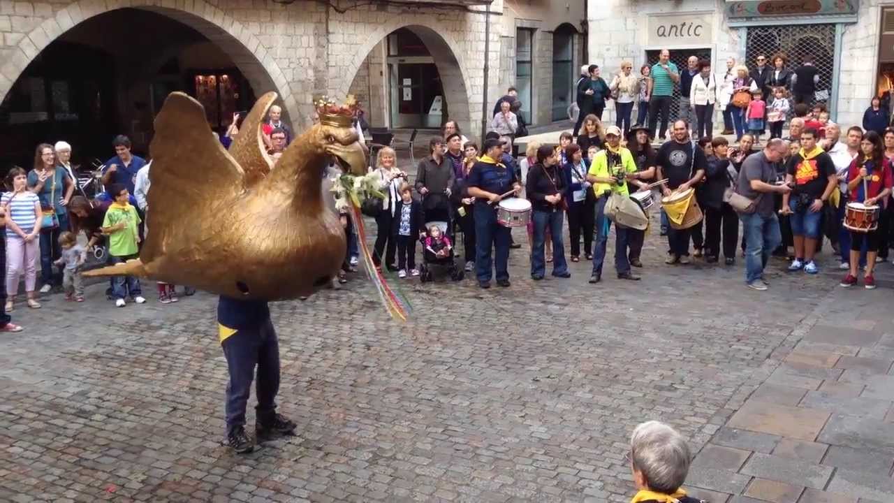 Àliga de Girona - Matinades 2013