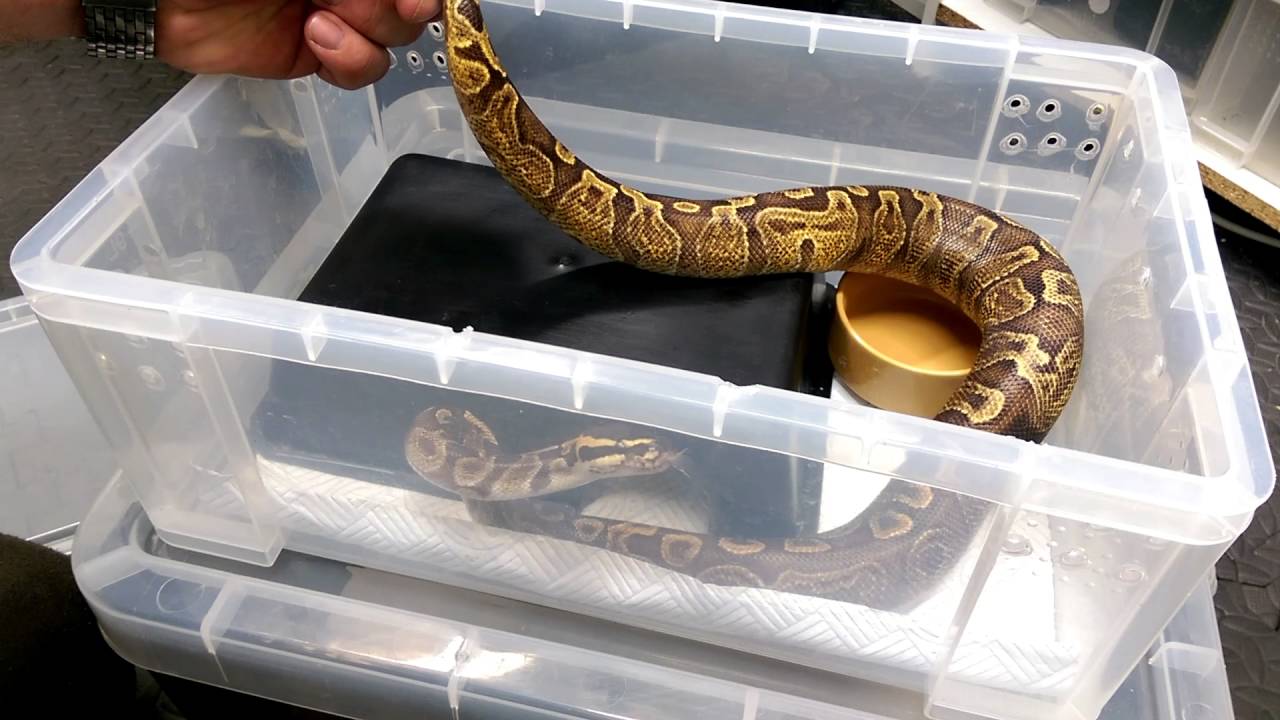 Tub upgrade????