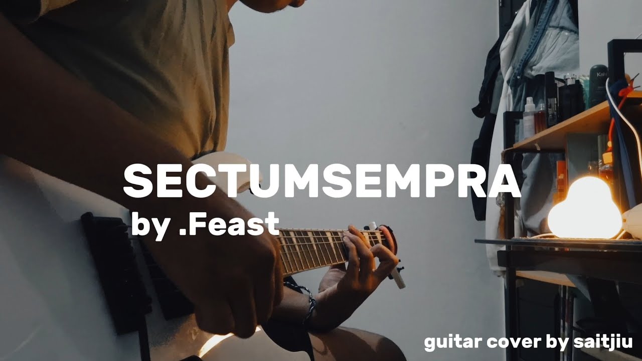 Sectumsempra - .Feast (guitar cover)