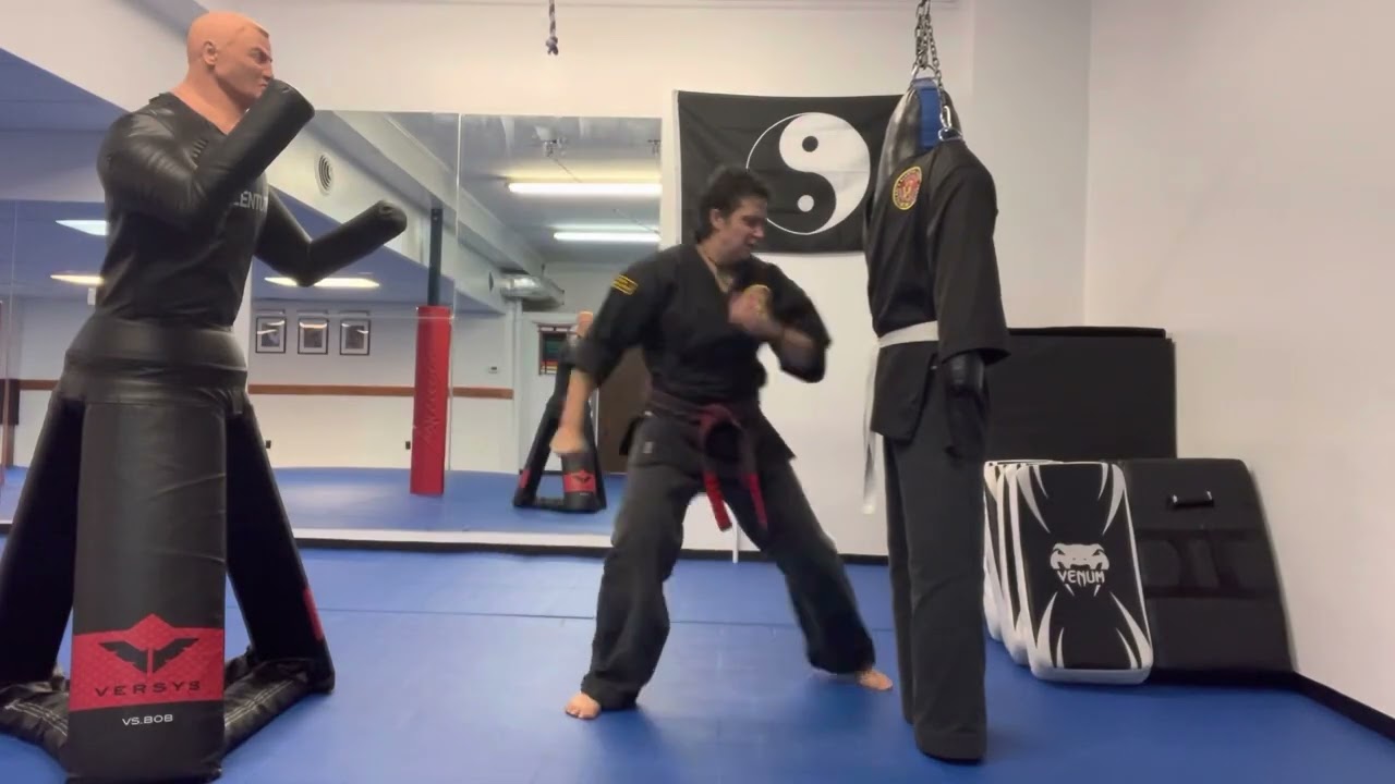 Shaolin Kempo Karate Combinations