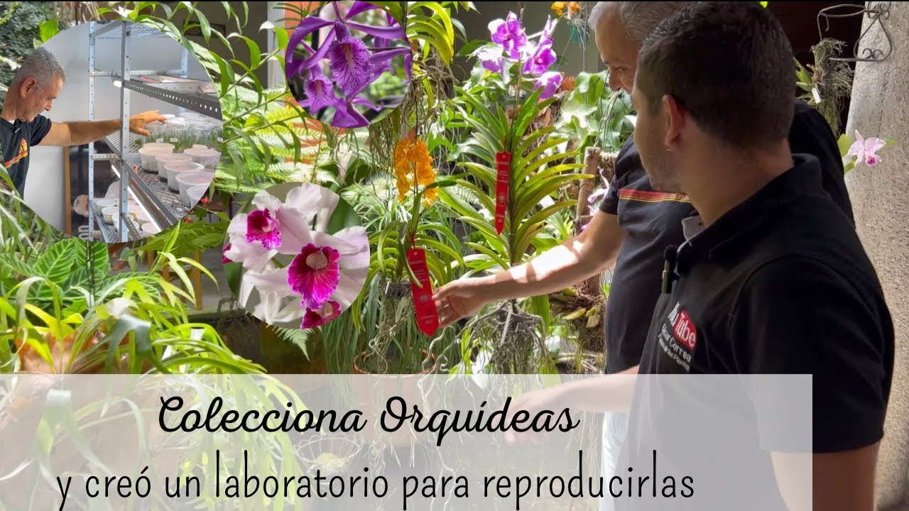 LA COLECCIÓN DE PLANTAS DE PAUL 🪴| un biólogo enamorado de las plantas