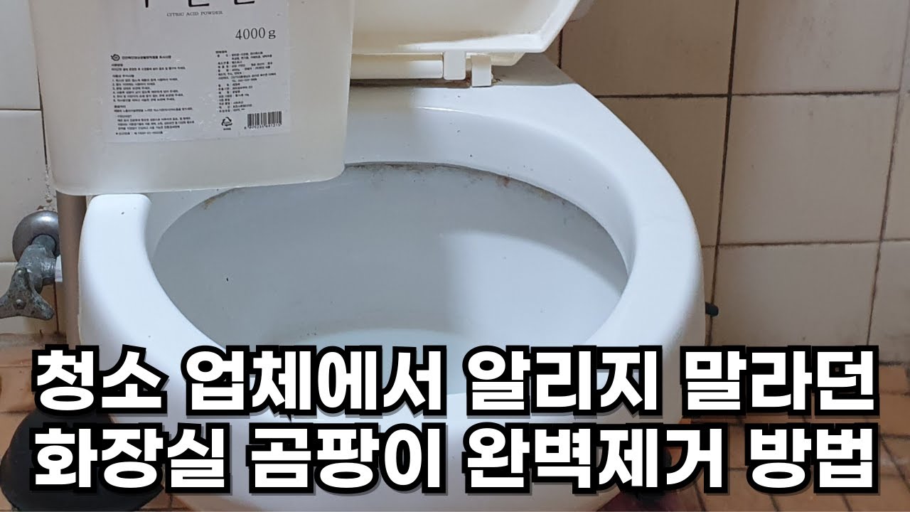 화장실 곰팡이 완벽히 없어집니다. 1,000원으로 화장실 곰팡이 제거하는 방법