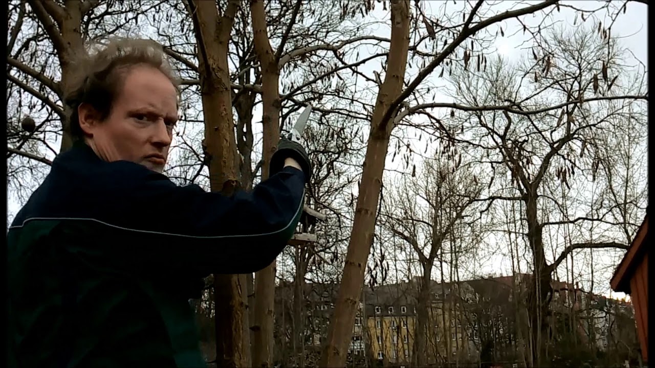 Garten Ulm 2019 Teil 1 (10.02.2019) - Robinie schneiden/Achtung Desync!