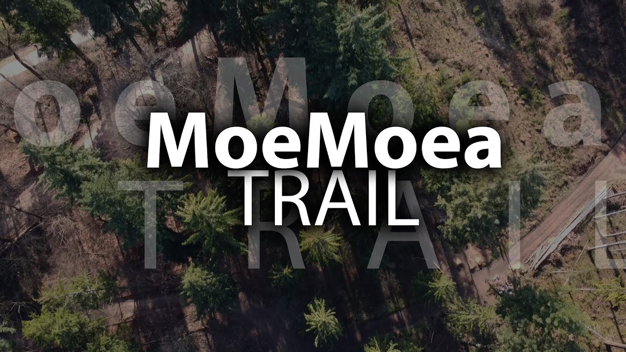 MoeMoea Trail 2021 - Schwäbisch Gmünd