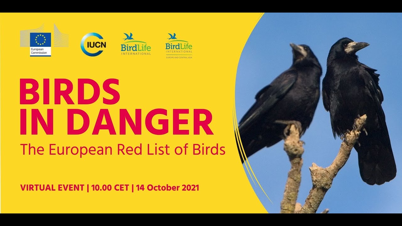 BIRDS IN DANGER: The European Red List of Birds