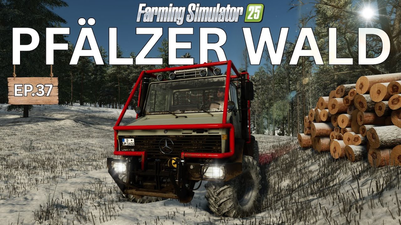Packen wir den Schnee? - Pfälzer Wald 🌲 EP.37 - LS25