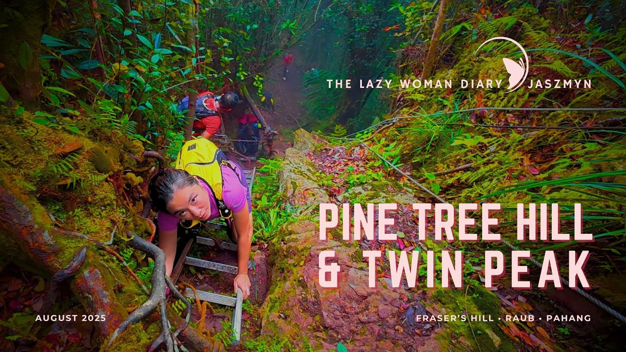 Pine Tree Hill & Twin Peak Hike | Fraser&rsquo;s Hill Longest Wild Trail 🌲 Pahang 🇲🇾
