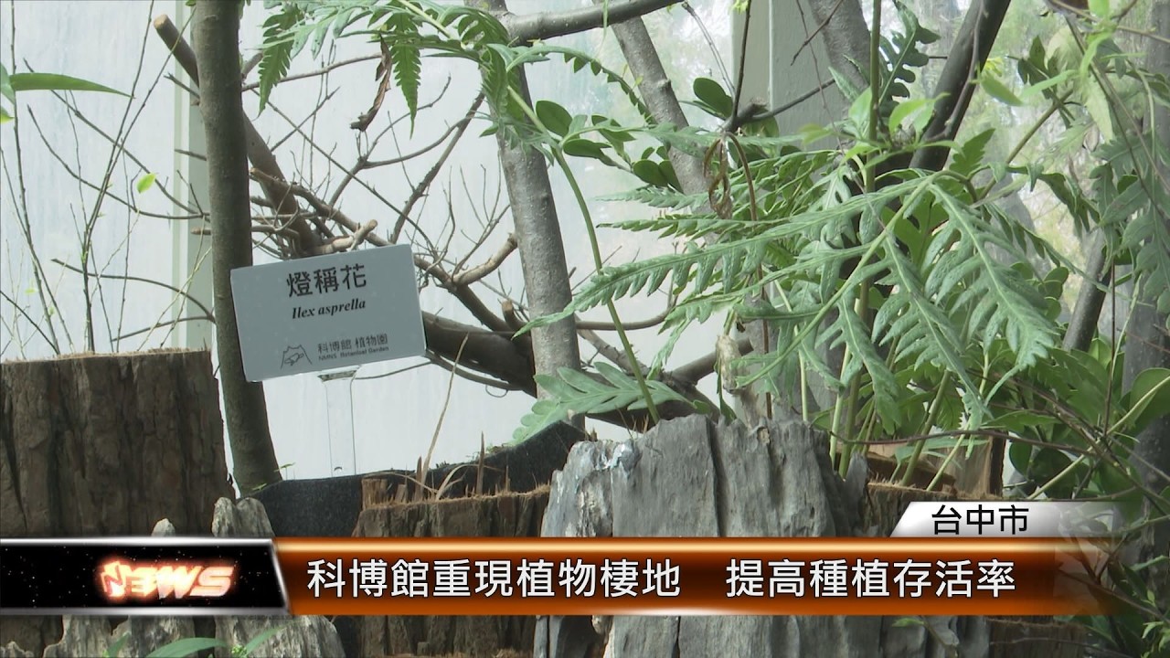 科博館重現植物棲地  提高種植存活率│T-NEWS聯播網