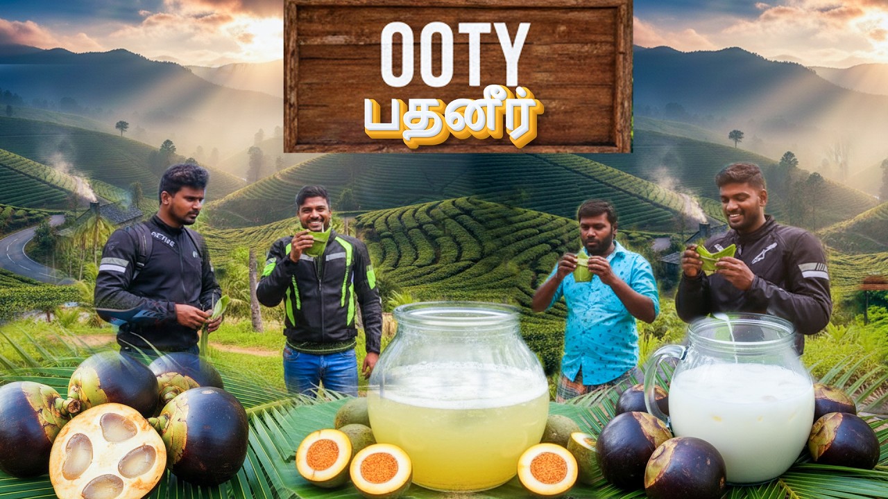 Ooty-ல Rare Padani குடிச்சோம்  |One of India’s Most Dangerous Downhill Roads! 😱 | Masinagudi Ride