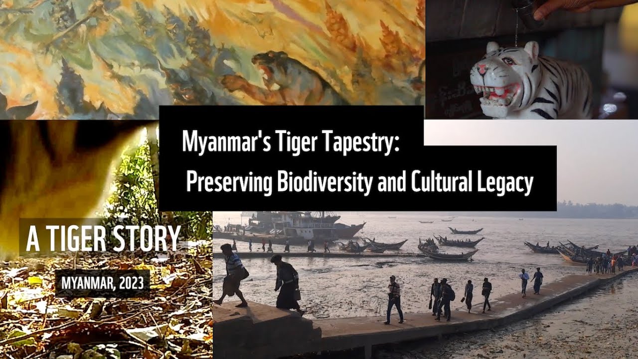 Myanmar's Tiger Tapestry - Preserving Biodiversity and Cultural Legacy