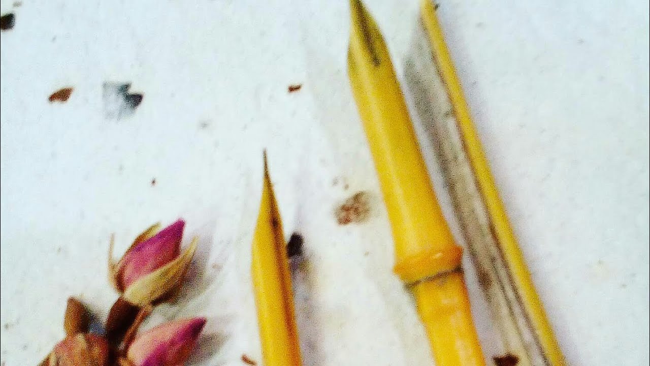 Pluma de caña artesanal