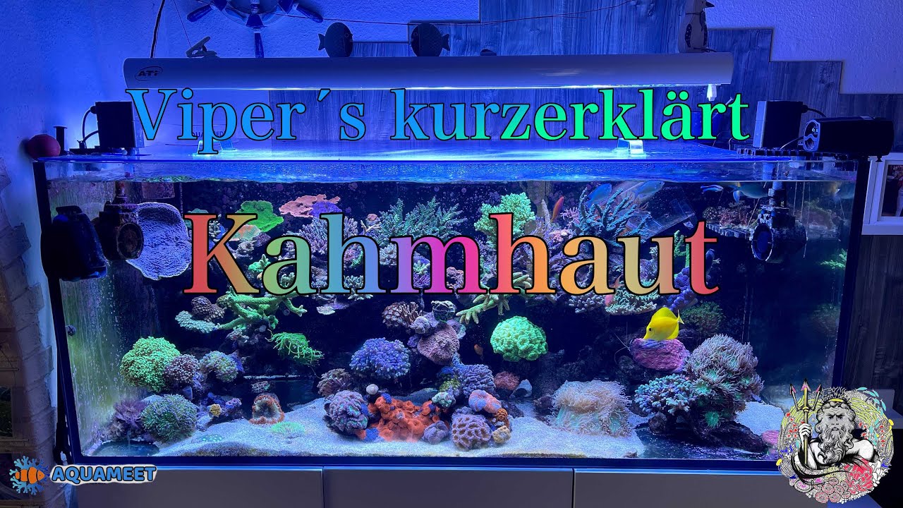 Kurzerkl&auml;rt Die Kahmhaut
