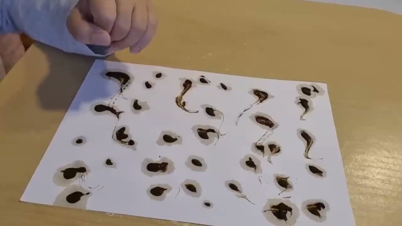 GERÇEKLERİ DUYMAK İSTİYORMUSUN  ZİL  TAKIP OYNAYACAKSIN MUTLU  GÜNLERİN  YAKIN GENEL  KAHVE FALI