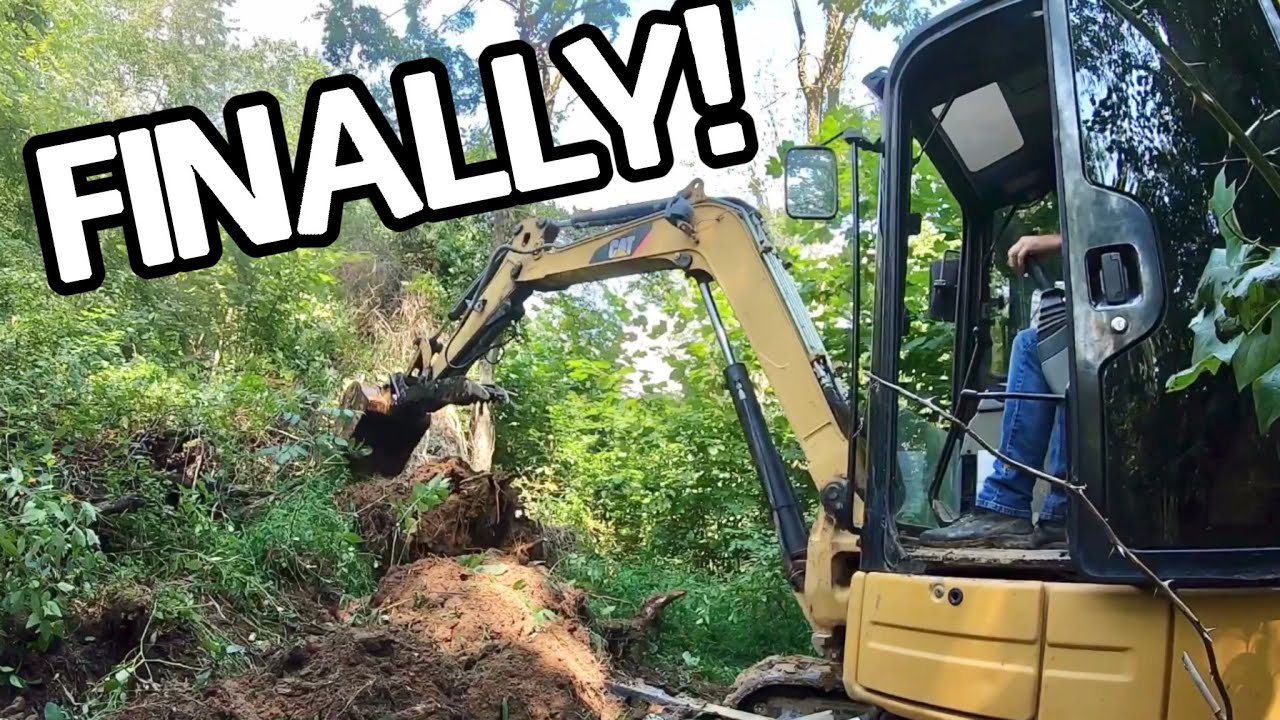Clearing Trees for Themed Cabin - Road Access and Building Site