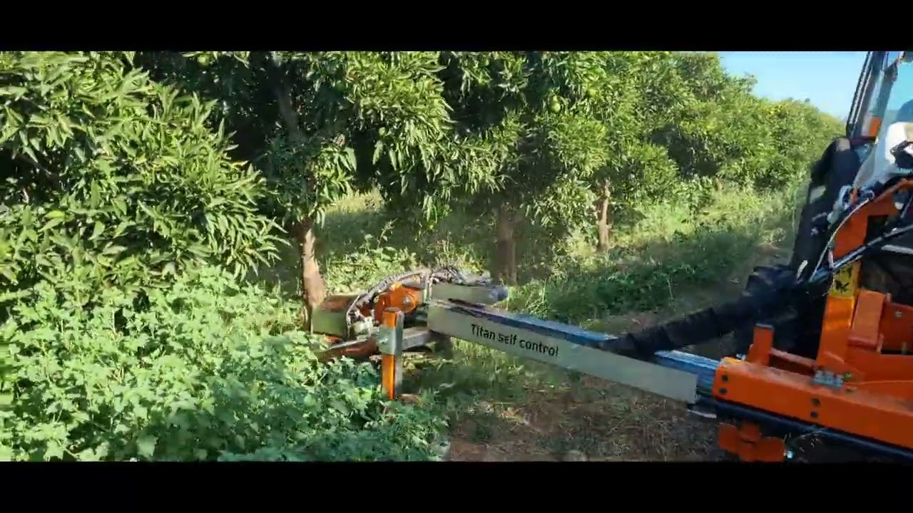 DISCO CORTA HIERBAS DE HILO PLANTACION DE NARANJOS