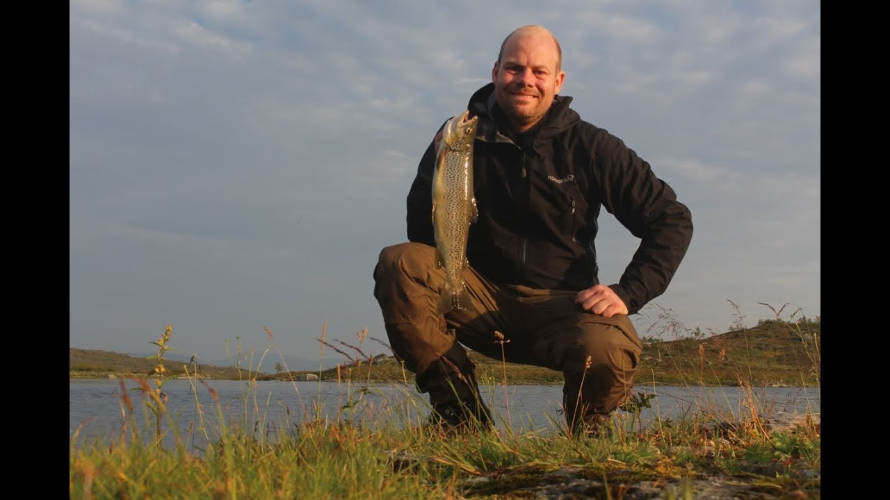 Fishing and hiking in Børgefjell 2019