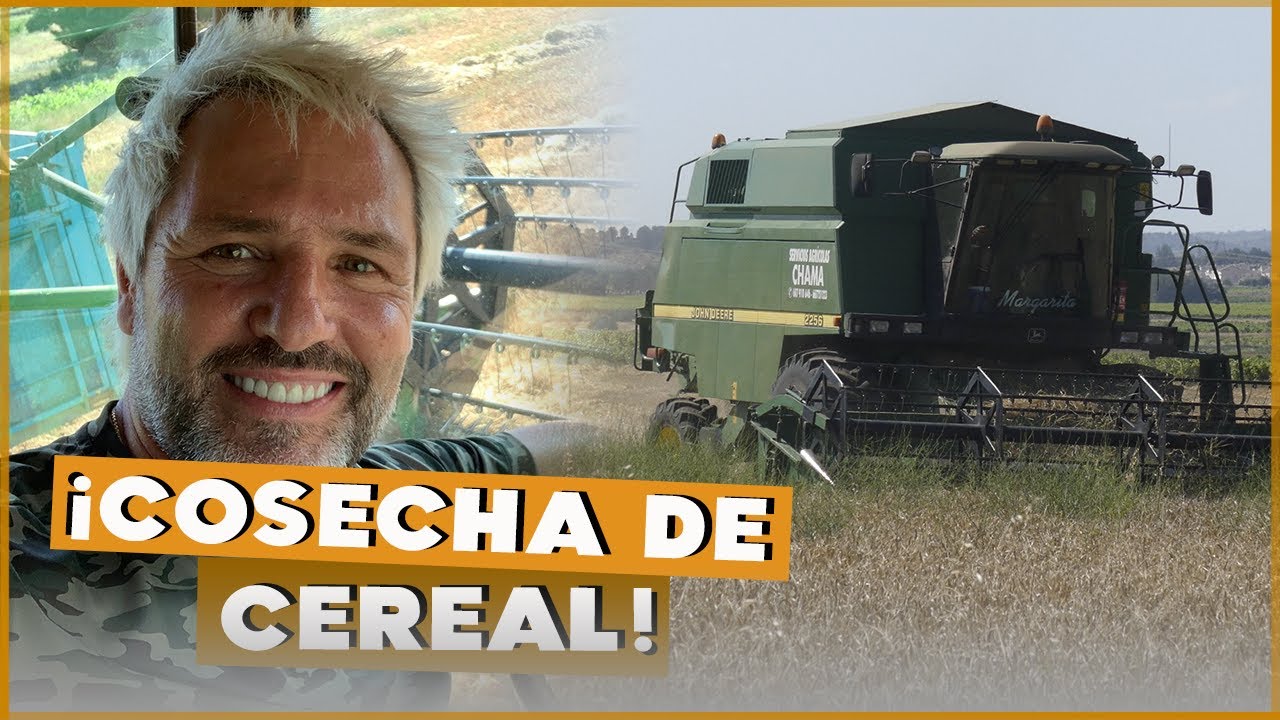 ¡VAMOS A COSECHAR CEREAL! Nueva aventura en la Finca | #Cañizares