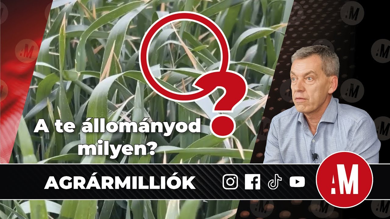 21. 🎬 BÚZA... A TE ÁLLOMÁNYOD MILYEN?