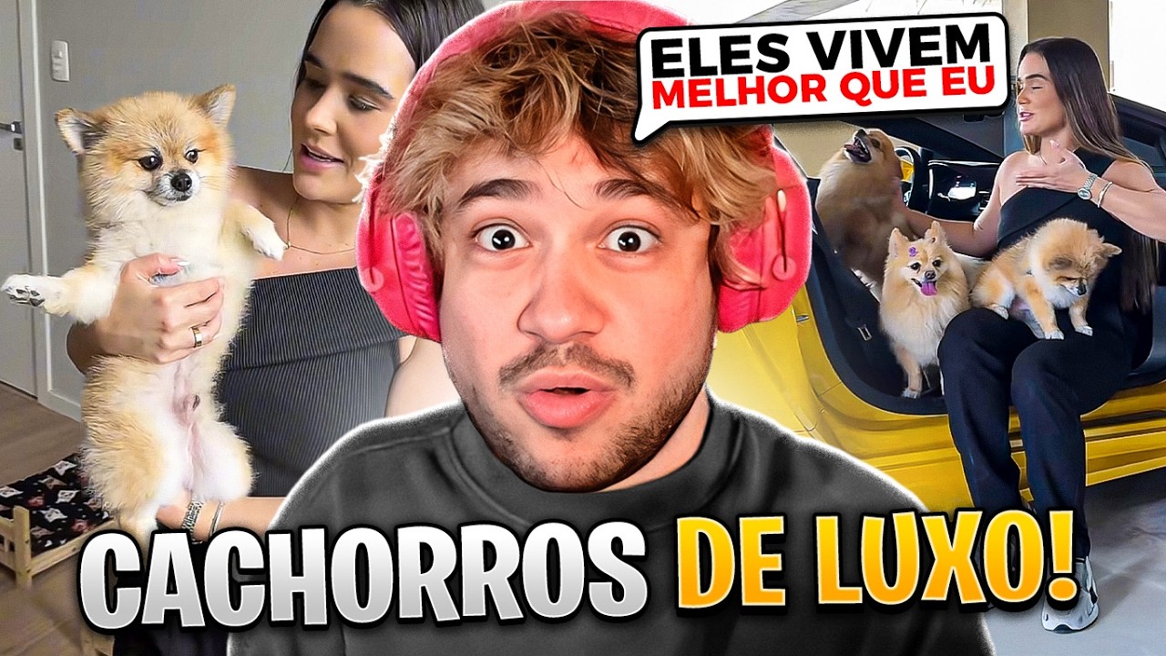 COMO &Eacute; UMA VIDA LUXUOSA SENDO CACHORROS - React Tiktoks