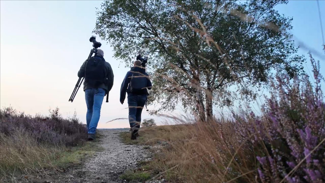 Minireportage Special - Van de Geldersche heide tot aan het Friesche Wad.